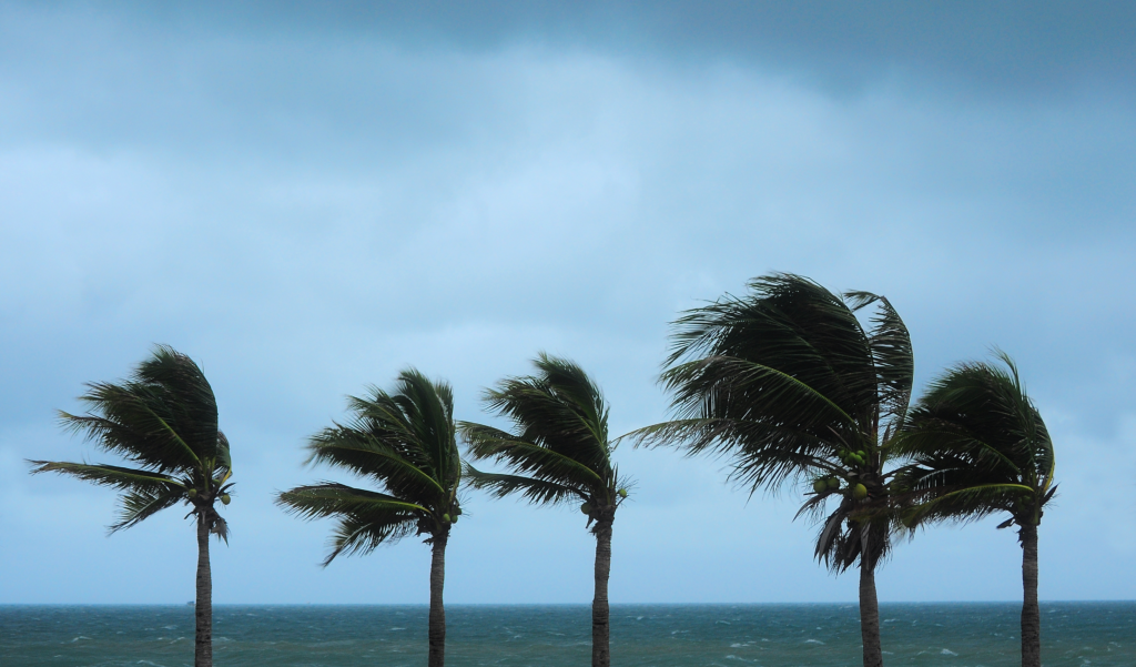 tempestade na praia
